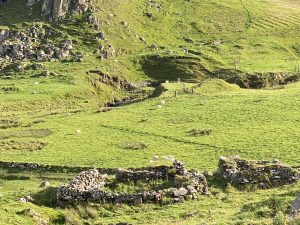 IMG 9667